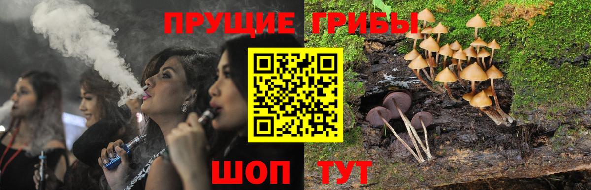 Псилоцибиновые грибы мицелий Абинск