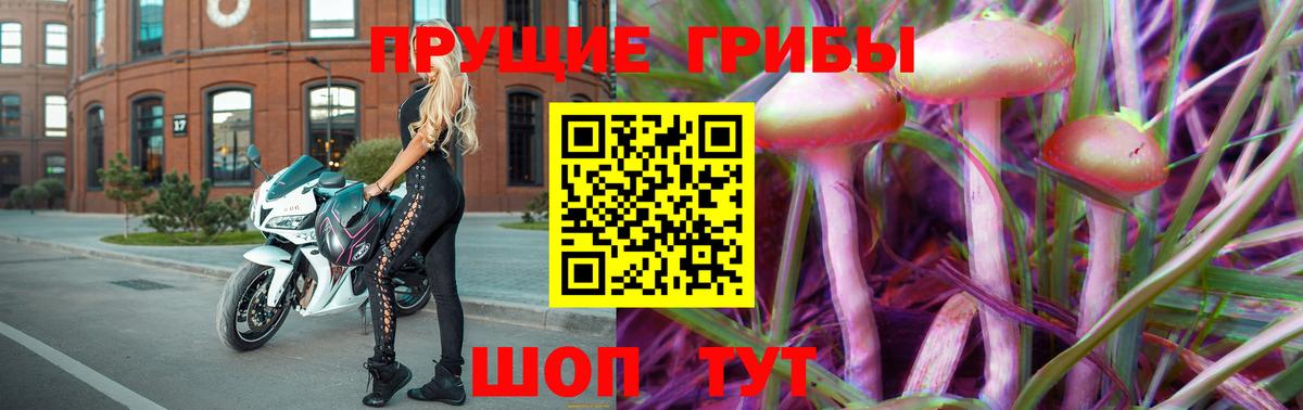 Галлюциногенные грибы GOLDEN TEACHER  Вход с VPN  Абинск  Галлюциногенные грибы Psilocybine cubensis 